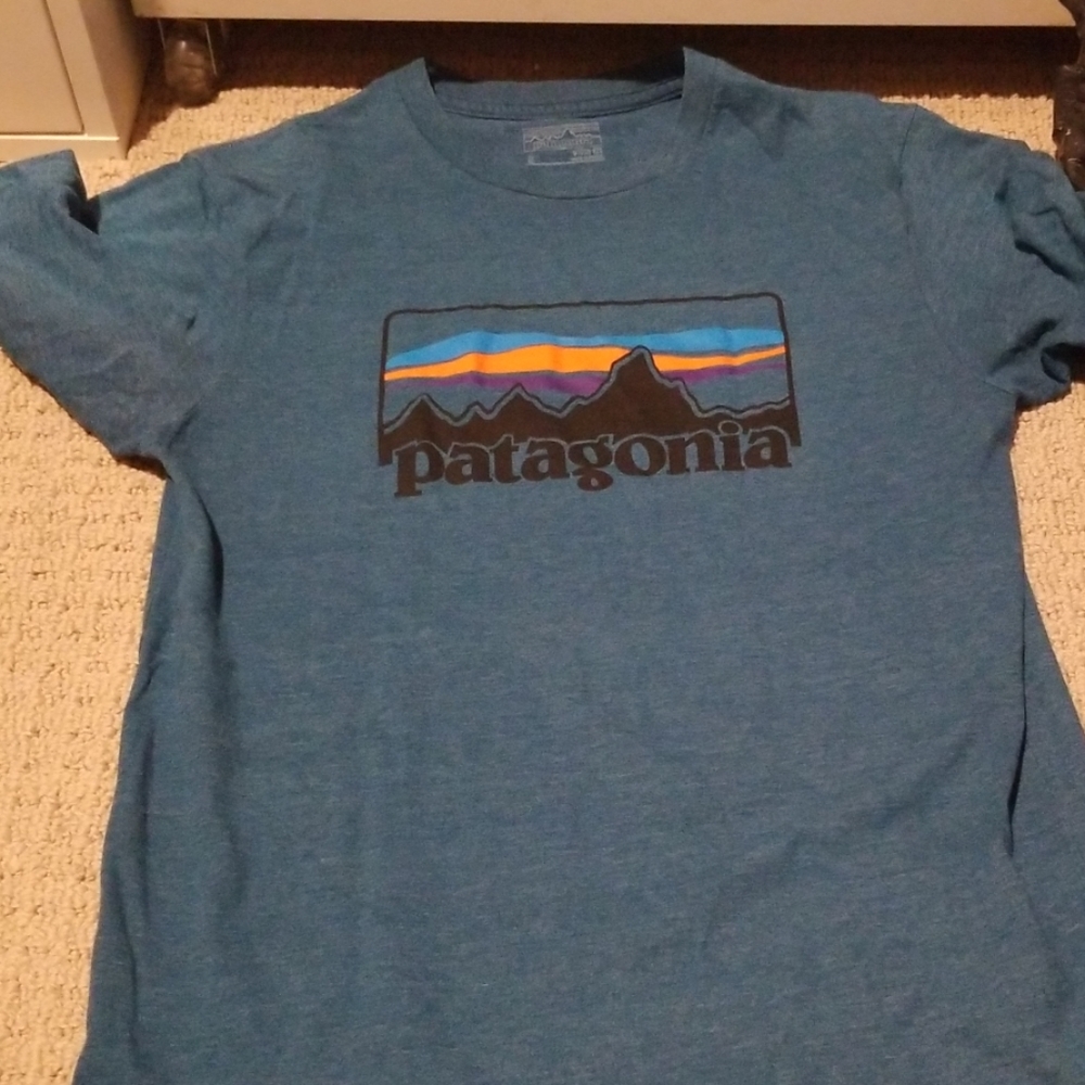 Patagonia t shirt